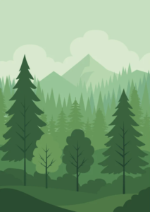 bosque boceto